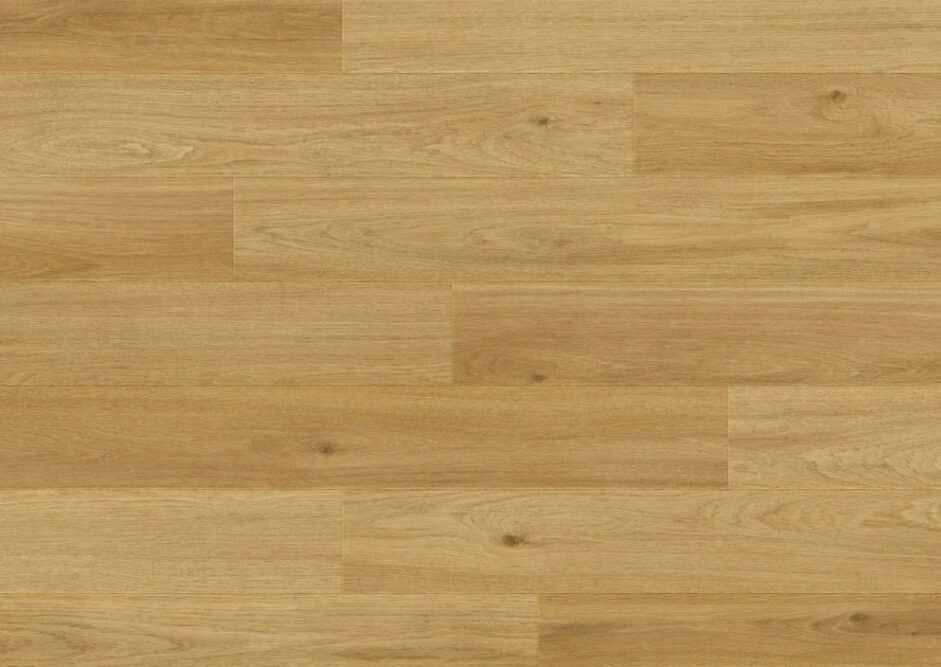 Chêne Cologne