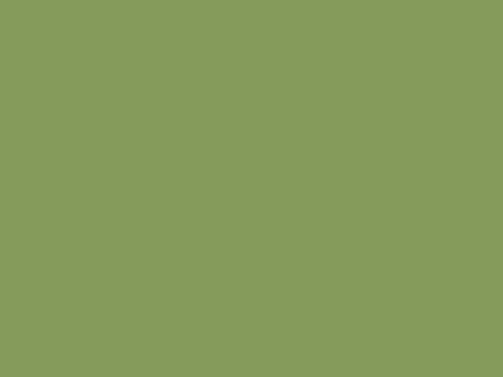 Vert Olive U640 ST9