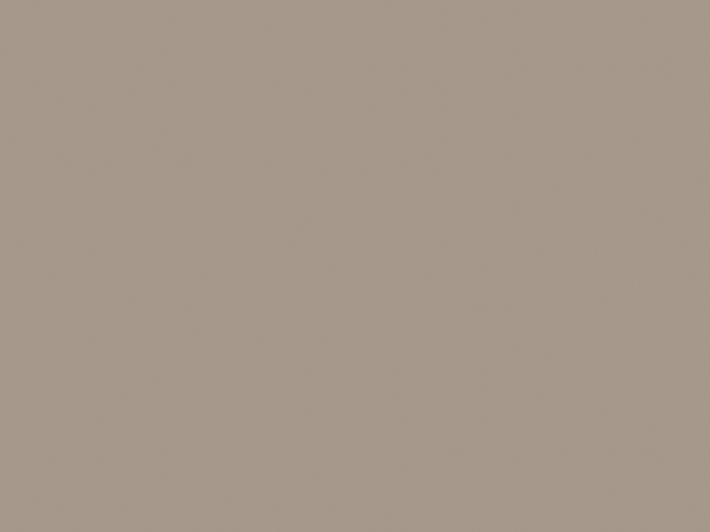Gris Argile U727 ST9