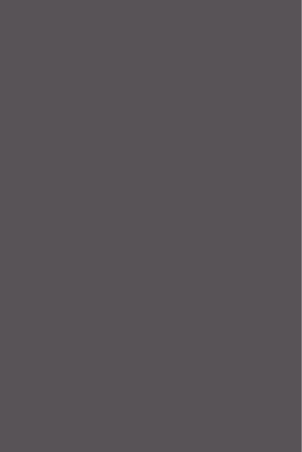 Gris Orage G059 FA