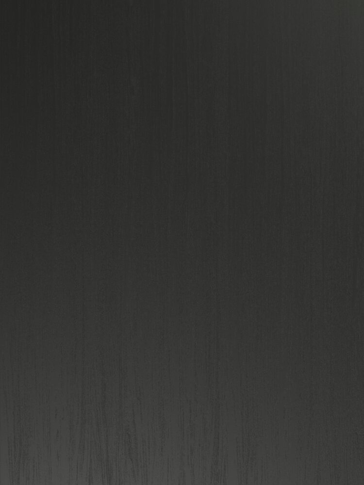 Elegant Black Master 00113 V2A
