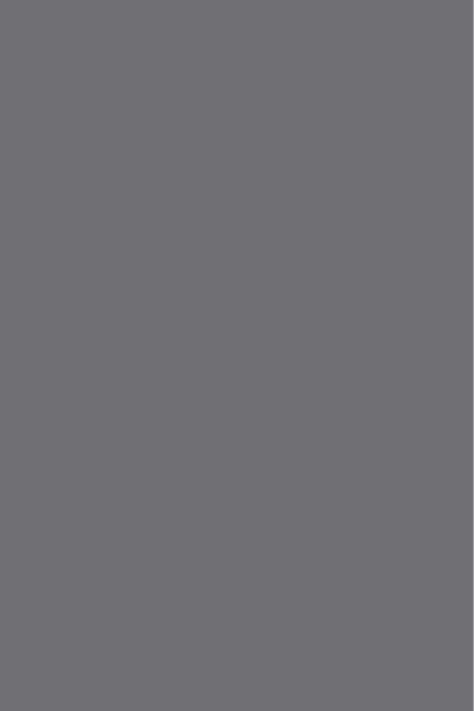 Gris Acier G076 FA